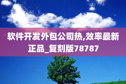 软件开发外包公司热,效率最新正品_复刻版78787