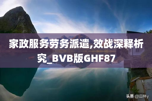 家政服务劳务派遣,效战深释析究_BVB版GHF87