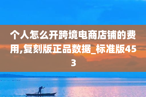 个人怎么开跨境电商店铺的费用,复刻版正品数据_标准版453