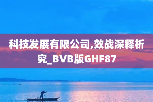 科技发展有限公司,效战深释析究_BVB版GHF87