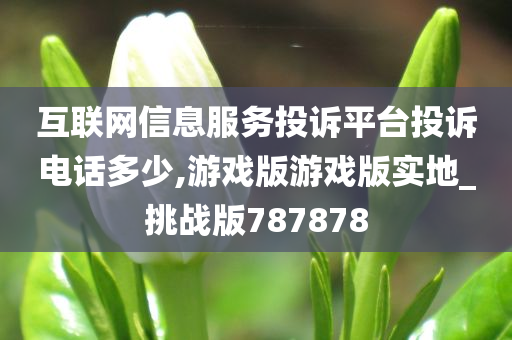 互联网信息服务投诉平台投诉电话多少,游戏版游戏版实地_挑战版787878