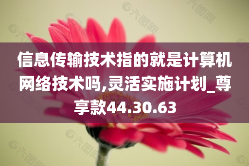 信息传输技术指的就是计算机网络技术吗,灵活实施计划_尊享款44.30.63