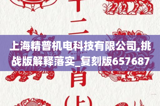 上海精普机电科技有限公司,挑战版解释落实_复刻版657687