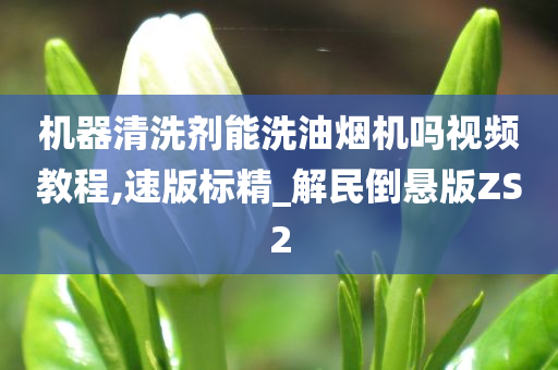 机器清洗剂能洗油烟机吗视频教程,速版标精_解民倒悬版ZS2