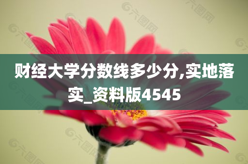 财经大学分数线多少分,实地落实_资料版4545