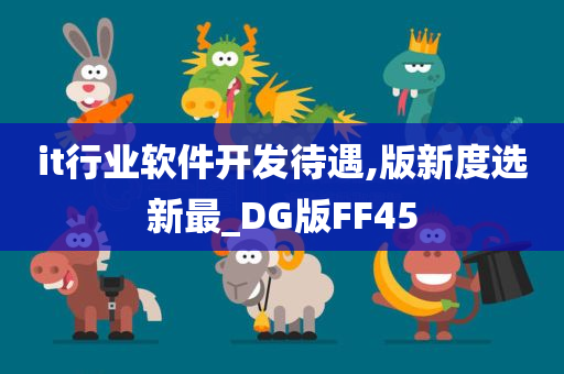 it行业软件开发待遇,版新度选新最_DG版FF45