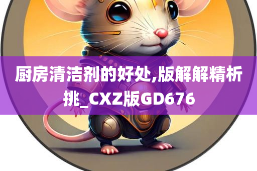 厨房清洁剂的好处,版解解精析挑_CXZ版GD676