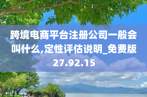 跨境电商平台注册公司一般会叫什么,定性评估说明_免费版27.92.15