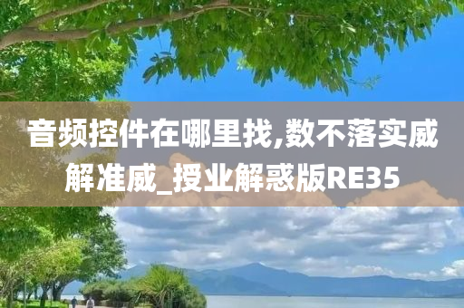 音频控件在哪里找,数不落实威解准威_授业解惑版RE35