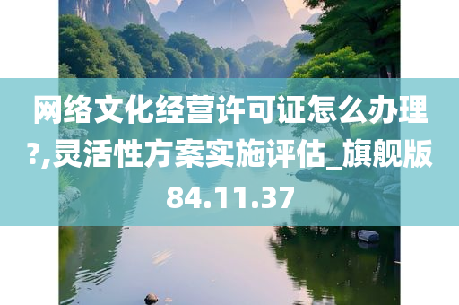 网络文化经营许可证怎么办理?,灵活性方案实施评估_旗舰版84.11.37