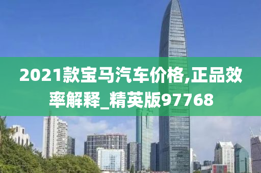 2021款宝马汽车价格,正品效率解释_精英版97768