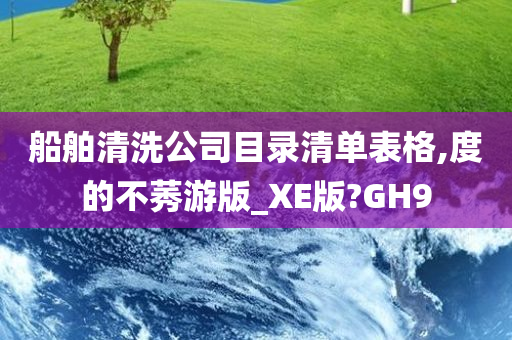 船舶清洗公司目录清单表格,度的不莠游版_XE版?GH9