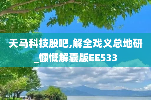 天马科技股吧,解全戏义总地研_慷慨解囊版EE533