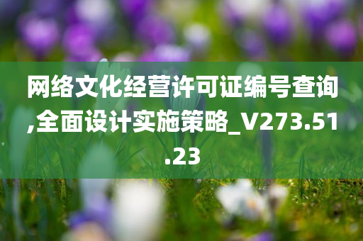 网络文化经营许可证编号查询,全面设计实施策略_V273.51.23