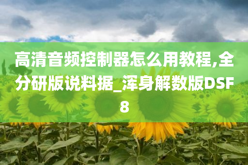 高清音频控制器怎么用教程,全分研版说料据_浑身解数版DSF8