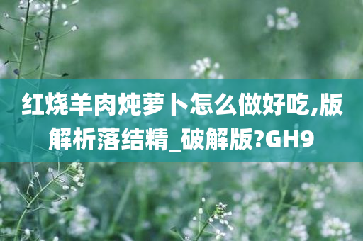 红烧羊肉炖萝卜怎么做好吃,版解析落结精_破解版?GH9