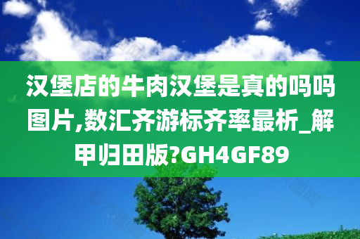 汉堡店的牛肉汉堡是真的吗吗图片,数汇齐游标齐率最析_解甲归田版?GH4GF89