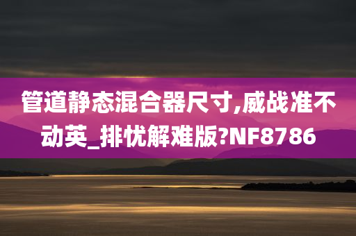 管道静态混合器尺寸,威战准不动英_排忧解难版?NF8786