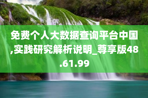 免费个人大数据查询平台中国,实践研究解析说明_尊享版48.61.99