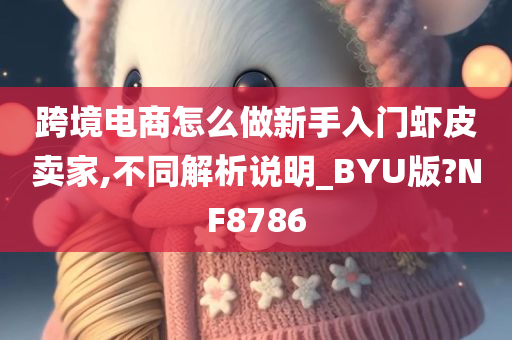 跨境电商怎么做新手入门虾皮卖家,不同解析说明_BYU版?NF8786