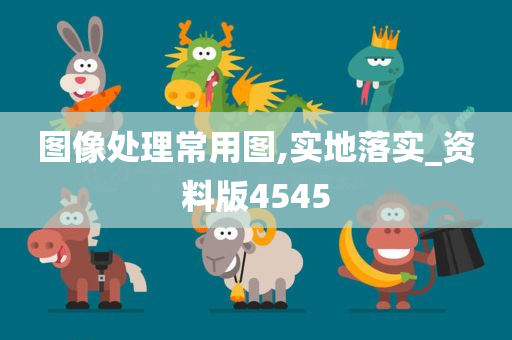 图像处理常用图,实地落实_资料版4545