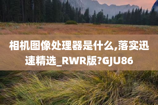 相机图像处理器是什么,落实迅速精选_RWR版?GJU86