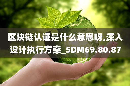 区块链认证是什么意思呀,深入设计执行方案_5DM69.80.87