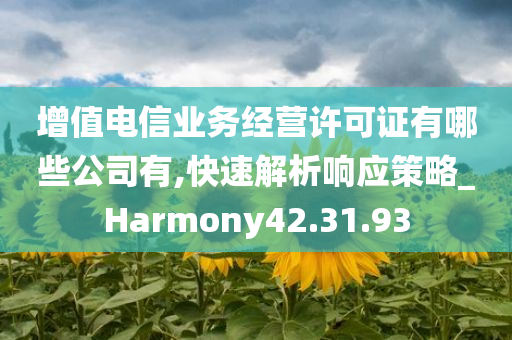 增值电信业务经营许可证有哪些公司有,快速解析响应策略_Harmony42.31.93