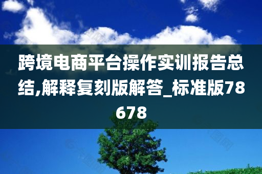 跨境电商平台操作实训报告总结,解释复刻版解答_标准版78678