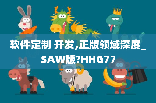 软件定制 开发,正版领域深度_SAW版?HHG77