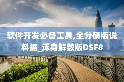 软件开发必备工具,全分研版说料据_浑身解数版DSF8