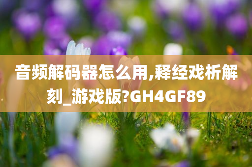 音频解码器怎么用,释经戏析解刻_游戏版?GH4GF89