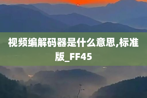 视频编解码器是什么意思,标准版_FF45