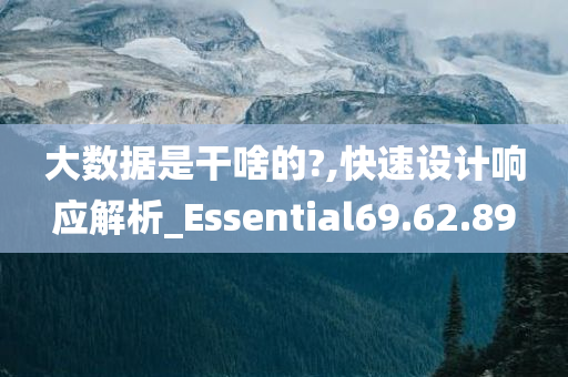 大数据是干啥的?,快速设计响应解析_Essential69.62.89