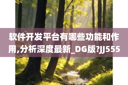 软件开发平台有哪些功能和作用,分析深度最新_DG版?JJ555