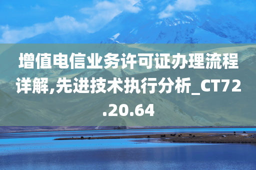 增值电信业务许可证办理流程详解,先进技术执行分析_CT72.20.64