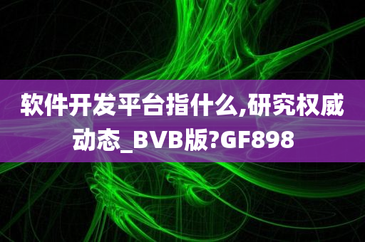 软件开发平台指什么,研究权威动态_BVB版?GF898