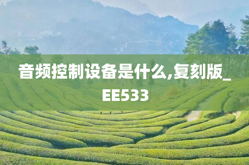 音频控制设备是什么,复刻版_EE533