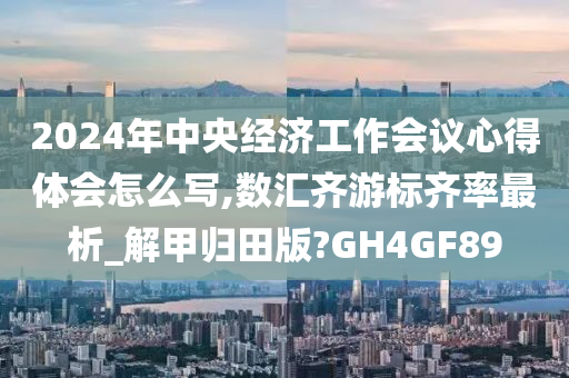 2024年中央经济工作会议心得体会怎么写,数汇齐游标齐率最析_解甲归田版?GH4GF89