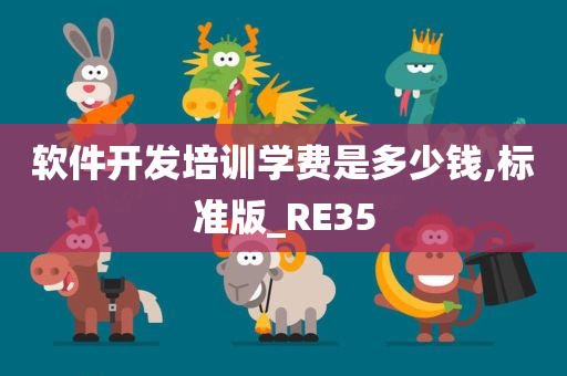 软件开发培训学费是多少钱,标准版_RE35