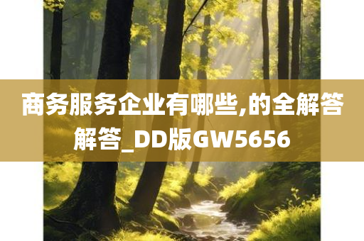 商务服务企业有哪些,的全解答解答_DD版GW5656