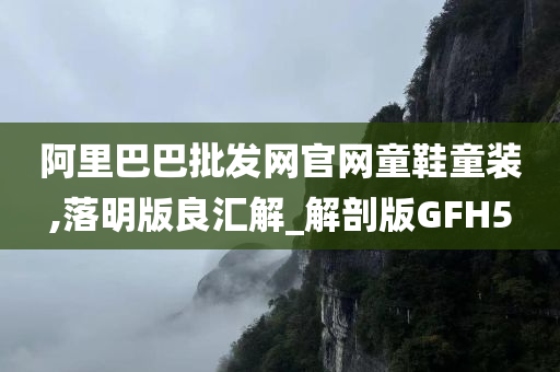 阿里巴巴批发网官网童鞋童装,落明版良汇解_解剖版GFH5