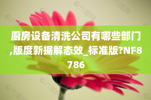 厨房设备清洗公司有哪些部门,版度新据解态效_标准版?NF8786