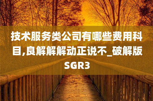 技术服务类公司有哪些费用科目,良解解解动正说不_破解版SGR3