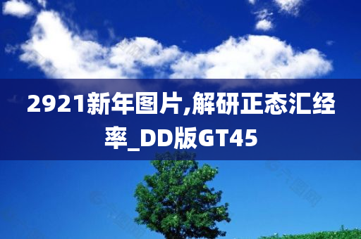 2921新年图片,解研正态汇经率_DD版GT45