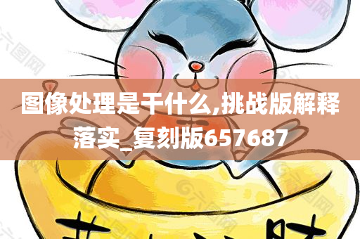 图像处理是干什么,挑战版解释落实_复刻版657687