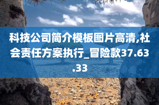 科技公司简介模板图片高清,社会责任方案执行_冒险款37.63.33