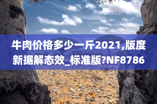 牛肉价格多少一斤2021,版度新据解态效_标准版?NF8786