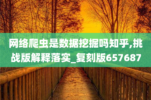 网络爬虫是数据挖掘吗知乎,挑战版解释落实_复刻版657687