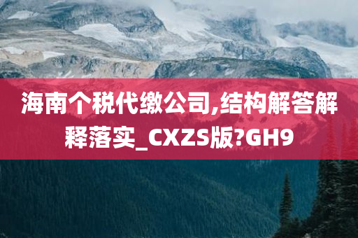 海南个税代缴公司,结构解答解释落实_CXZS版?GH9